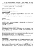 Konspekts 'Konkurences tiesību regulējums Eiropas Savienībā', 7.