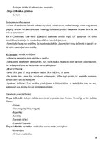 Konspekts 'Konkurences tiesību regulējums Eiropas Savienībā', 28.