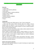 Konspekts 'Konkurences tiesību regulējums Eiropas Savienībā', 61.