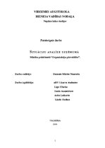 Referāts 'Situāciju analīze uzņēmumā', 1.