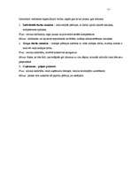 Referāts 'Darba resursu analīze', 21.