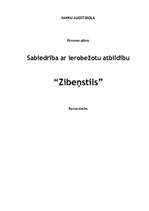 Biznesa plāns 'SIA "Zibeņstils"', 1.