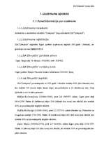 Biznesa plāns 'SIA "Zibeņstils"', 6.