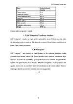 Biznesa plāns 'SIA "Zibeņstils"', 9.