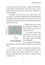 Biznesa plāns 'SIA "Zibeņstils"', 14.