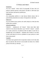 Biznesa plāns 'SIA "Zibeņstils"', 15.