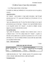 Biznesa plāns 'SIA "Zibeņstils"', 19.