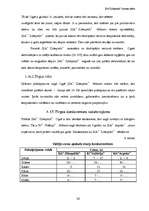 Biznesa plāns 'SIA "Zibeņstils"', 20.