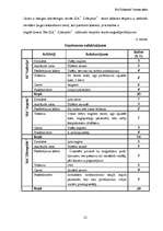 Biznesa plāns 'SIA "Zibeņstils"', 21.