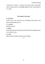 Biznesa plāns 'SIA "Zibeņstils"', 22.