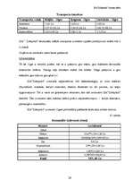 Biznesa plāns 'SIA "Zibeņstils"', 29.