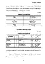 Biznesa plāns 'SIA "Zibeņstils"', 30.