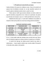 Biznesa plāns 'SIA "Zibeņstils"', 36.