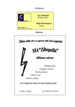 Biznesa plāns 'SIA "Zibeņstils"', 47.