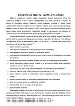 Konspekts 'Uzņēmuma misija, vīzija un mērķi', 1.