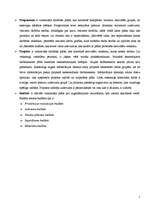 Konspekts 'Uzņēmuma misija, vīzija un mērķi', 5.