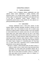 Diplomdarbs 'Izmaksu samazināšanas iespējas viesu izmitināšanas un apkalpošanas uzņēmumā "X"', 8.