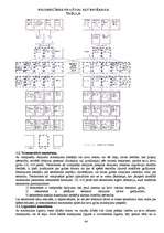 Konspekts 'Tiesību zinātne', 44.