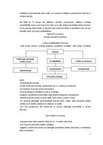 Referāts 'Pašvaldību darbības organizācija', 7.