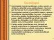 Prezentācija 'Socioloģiskā metode', 15.