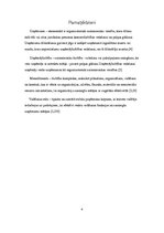 Referāts 'Uzņēmuma vadības stili', 5.