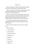 Referāts 'Uzņēmuma vadības stili', 6.