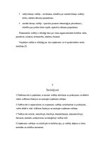 Referāts 'Uzņēmuma vadības stili', 11.