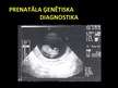 Prezentācija 'Prenatālā ģenētiskā diagnostika', 1.