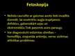 Prezentācija 'Prenatālā ģenētiskā diagnostika', 9.