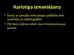 Prezentācija 'Prenatālā ģenētiskā diagnostika', 16.