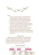 Konspekts 'Demokrātija kā politiskā sistēma', 7.