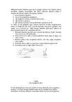 Referāts 'Roku higiēna medicīnas darbiniekiem', 2.