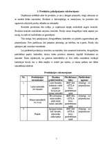 Biznesa plāns 'SIA "Stila foto"', 5.