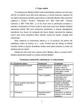 Biznesa plāns 'SIA "Stila foto"', 7.