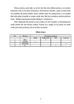 Biznesa plāns 'SIA "Stila foto"', 8.