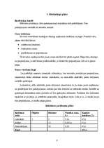 Biznesa plāns 'SIA "Stila foto"', 9.