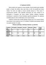 Biznesa plāns 'SIA "Stila foto"', 11.