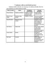 Biznesa plāns 'SIA "Stila foto"', 12.