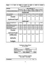 Biznesa plāns 'SIA "Stila foto"', 16.