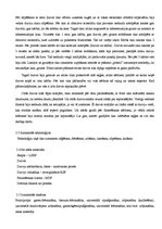 Prakses atskaite 'Prakses atskaite', 4.