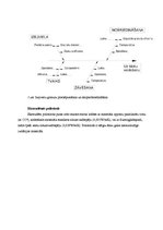 Referāts 'Siltumizolācijas materiālu salīdzinājums: minerālvate un polistirols', 8.