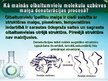 Prezentācija 'Olbaltumvielu denaturācija', 7.