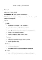 Paraugs 'Integrētā nodarbība ar mūzikas dominanti', 1.