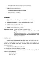 Paraugs 'Integrētā nodarbība ar mūzikas dominanti', 2.