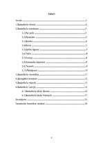 Referāts 'Basketbols', 3.