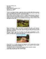 Referāts 'Daudzdienu velobrauciens pa Tukuma rajona teritoriju', 13.