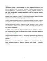 Referāts 'Konflikts', 3.