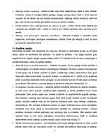 Referāts 'Konflikts', 9.