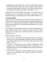 Referāts 'Konflikts', 16.