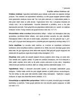 Referāts 'Konflikts', 33.